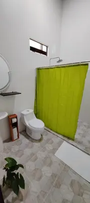 a bathroom with a green shower curtain and a toilet at Birds & Breakfast Costa Rica in Fortuna