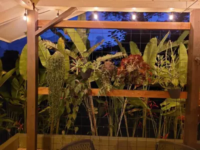 a window filled with lots of plants at Cabina Rancho la Merced in Uvita
