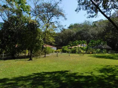 a park with green grass and trees in the background at Villas jungle 5 in Sámara