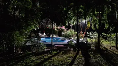 a swimming pool in a yard with palm trees at Villas jungle 5 in Sámara