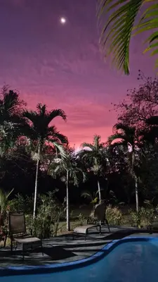 a pool with two chairs and palm trees at sunset at Villas jungle 5 in Sámara