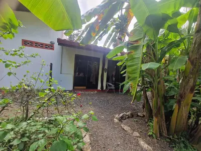 a courtyard of a house with plants in front of it at Villas jungle 5 in Sámara