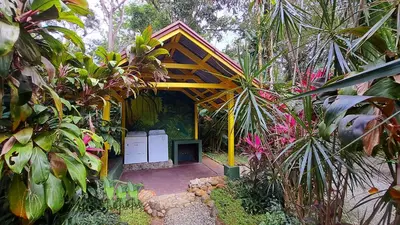 a garden entrance to a tropical garden with plants at Cabinas Costa Tropicana in Uvita