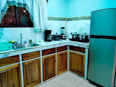 a kitchen with a sink and a refrigerator at Monteverde House in Monteverde Costa Rica