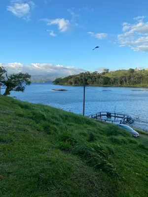 a boat sitting on the side of a lake at Hotel Puerto San Luis in Tilarán