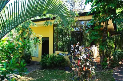 a yellow house with a palm tree in front of it at Pura Vida Hotel in Alajuela City