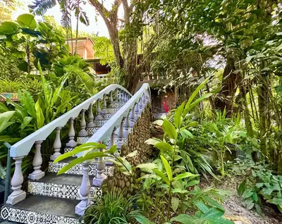 a bridge in the middle of a garden with plants at Jungle Beach Hotel Manuel Antonio in Manuel Antonio