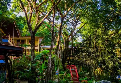 a garden with red chairs and trees and a house at Jungle Beach Hotel Manuel Antonio in Manuel Antonio