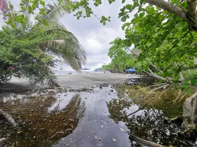 a view of a beach with trees and the ocean at Jungle Beach Hotel Manuel Antonio in Manuel Antonio