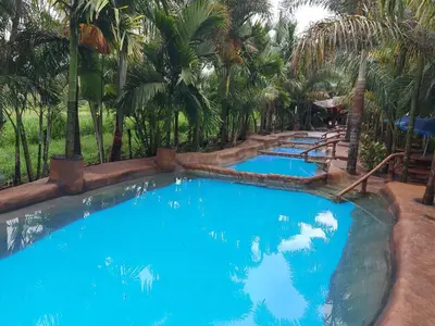 a pool with blue water and palm trees at Hotel Palmera Real Hot Springs in Fortuna