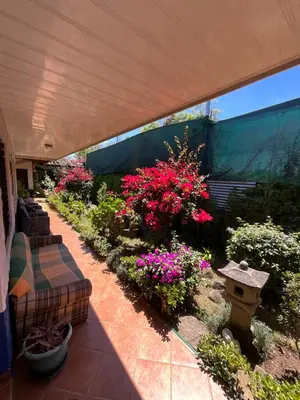 Gallery image of La Casa de Mamá Coyita in Cartago