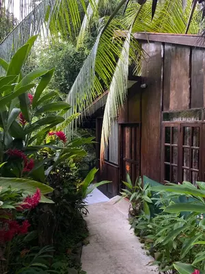 a pathway leading to a house with a bunch of plants at FLOR DE PARAISO BUNGALOWS in Montezuma