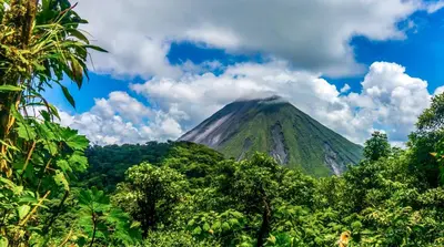 a mountain in the middle of a jungle with trees at Monte Terras in Tronadora