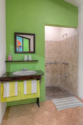 a green bathroom with a sink and a shower at Monte Terras in Tronadora