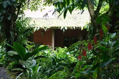 a house with a straw roof in a garden at Hacienda La Isla Lodge in Sarapiquí