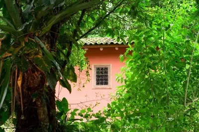 a pink house with a window in the middle of trees at Hacienda La Isla Lodge in Sarapiquí