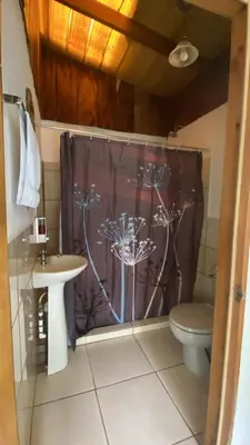 a bathroom with a shower curtain with a toilet and a sink at Cabinas Capulin & Farm in Monteverde Costa Rica
