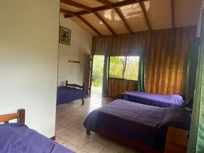 a room with two beds and a window at Cabinas Capulin & Farm in Monteverde Costa Rica