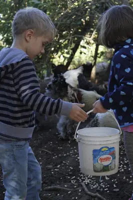 two young children are feeding animals from a bucket at Cabinas Capulin & Farm in Monteverde Costa Rica