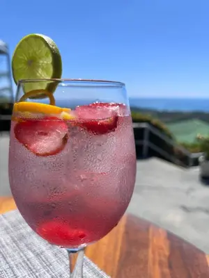 a drink with a strawberry and a lime in a glass at Vista Ballena in Uvita