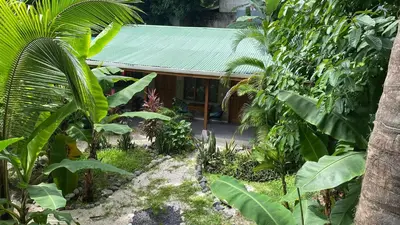 a house in the middle of a forest of trees at Cabinas Playa Surf Hostel in Santa Teresa Beach