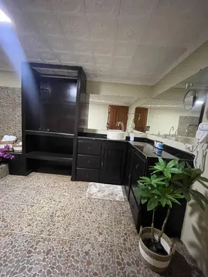 a kitchen with black cabinets and a potted plant at Ara Ambigua Lodge in Sarapiquí
