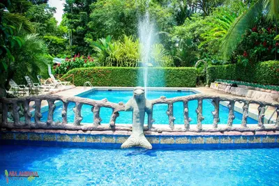 a fountain in the middle of a swimming pool at Ara Ambigua Lodge in Sarapiquí