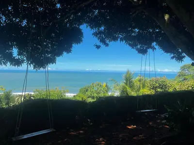 a swing hanging from a tree with a view of the ocean at Ranchos Remo Lodge in Uvita