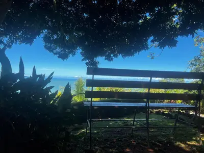 a bench sitting under a tree looking at the ocean at Ranchos Remo Lodge in Uvita