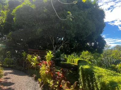a park with a bench and a tree and flowers at Ranchos Remo Lodge in Uvita