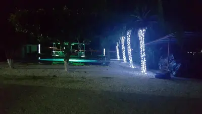 a row of lights on a palm tree at night at Hotel La Arena in Liberia