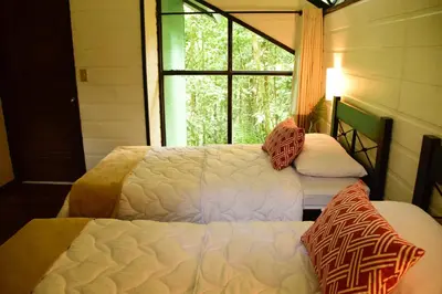 two beds in a room with a window at Tapirus Lodge and Reserve in Carrillo