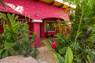 a pink house with plants in front of it at Conchal Hotel in Brasilito