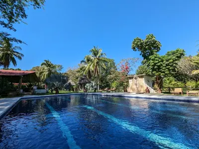 a swimming pool at a resort with palm trees at spirit of jungle lodge in Sámara