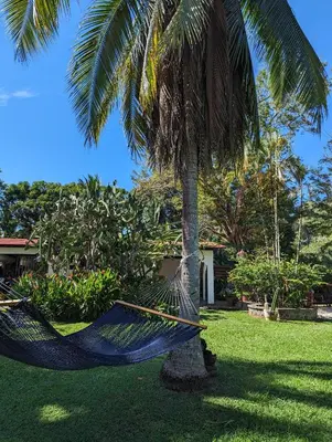 a hammock hanging from a palm tree in a yard at spirit of jungle lodge in Sámara