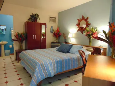 a bedroom with a bed and a table in it at Casa Lima B&B in San José