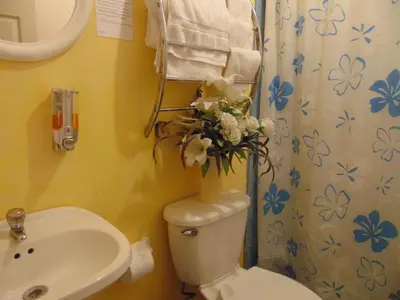 a bathroom with a toilet with a vase of flowers on it at Casa Lima B&B in San José