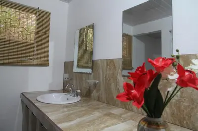 a bathroom with a sink and a vase with red flowers at Barracuda apartments in Sámara