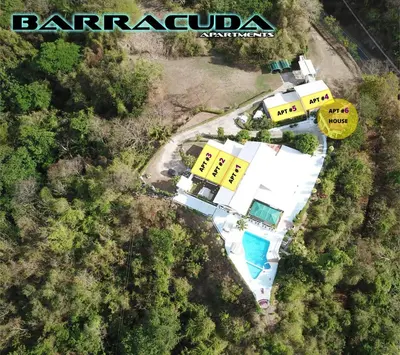 an aerial view of a house in the forest at Barracuda apartments in Sámara