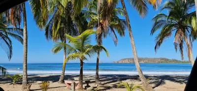 a view of a beach with palm trees and the ocean at Leyenda Boutique Hotel & Spa in Sámara