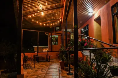 a patio with a bunch of plants and lights at Cabinas Eddy B&B in Monteverde Costa Rica