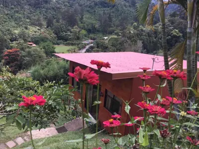 a house with red flowers in front of it at Navarro mountain in Cartago