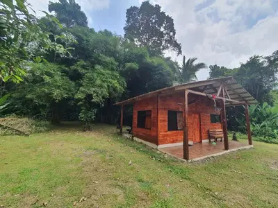 a small wooden cabin in a field with trees at Into the Greens in Madre de Dios