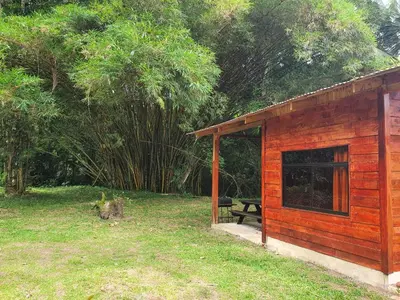 a small wooden cabin with a dog sitting in the grass at Into the Greens in Madre de Dios