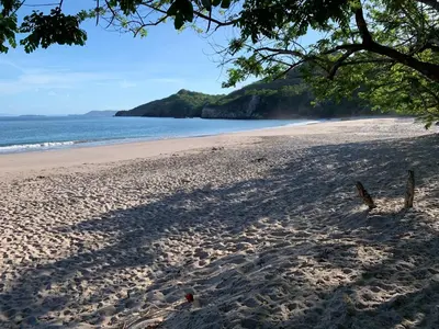 a sandy beach with a tree and the ocean at Casa vacacional Tamarindo beach in Guatemala
