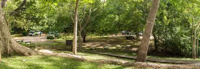 a park with trees and a path in the grass at Cabinas Las Olas in Playa Avellana