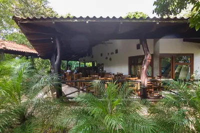 a restaurant with wooden tables and chairs and trees at Cabinas Las Olas in Playa Avellana