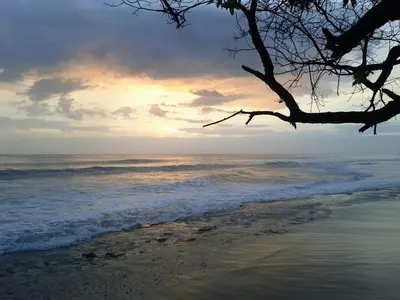 a sunset over the ocean with a tree on the beach at Cabinas Las Olas in Playa Avellana