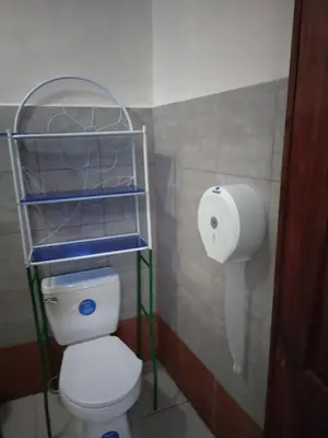 a bathroom with a toilet and a roll of toilet paper at Hotel Trianon in San José