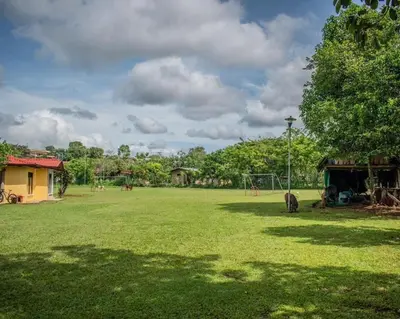 a large grass field with a building and a tree at Linda casa de verano con amplias zonas verdes in San Isidro